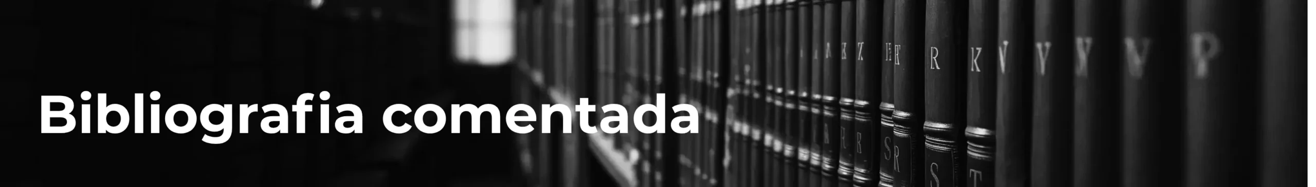 Bibliografia comentada resultado scaled